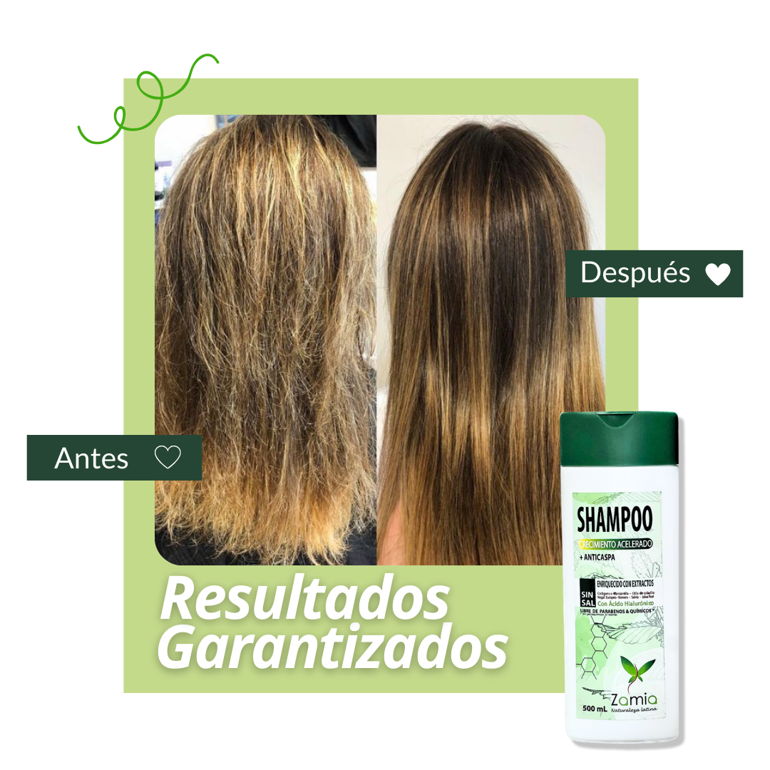 ZAMIA SHAMPOO CRECIMIENTO ACELERADO + ANTICASPA